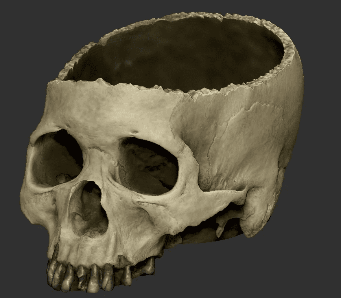 creepiest-and-coolest-3d-prints_halloween-skull-bowl